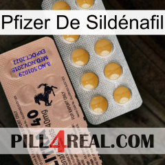 Pfizer De Sildénafil 41